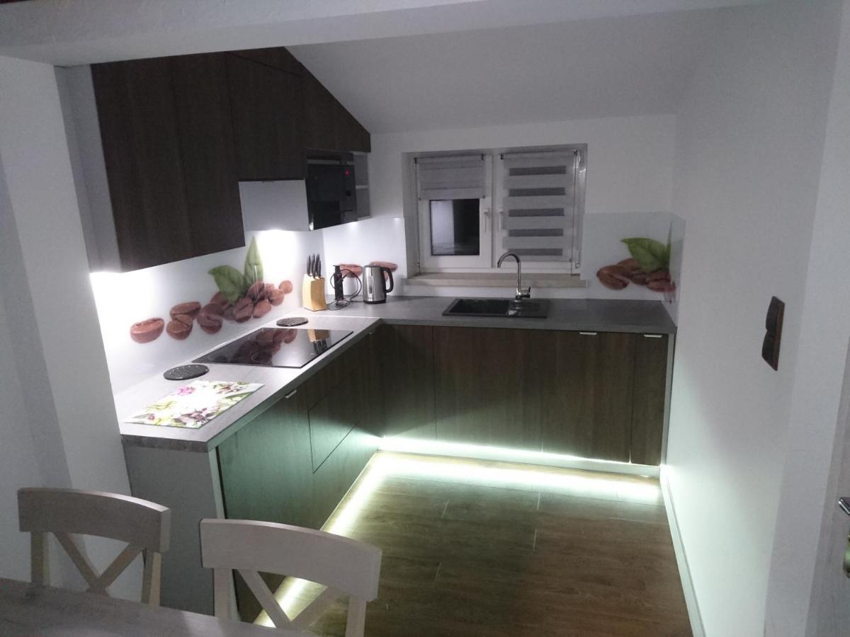 Apartament Elbrus Czyrna Szczyrk Wypozyczalnia Rowerow E-Bike Czyrna Szkola Narciarska & Wypozyczalnia Ski Serwis المظهر الخارجي الصورة