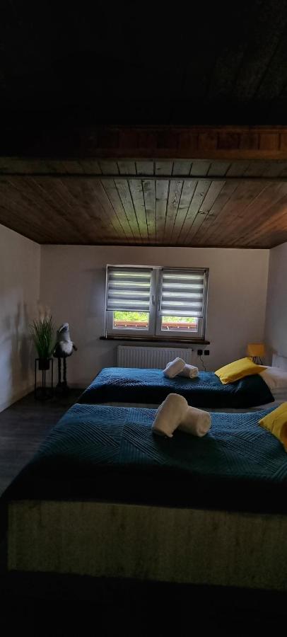Apartament Elbrus Czyrna Szczyrk Wypozyczalnia Rowerow E-Bike Czyrna Szkola Narciarska & Wypozyczalnia Ski Serwis المظهر الخارجي الصورة