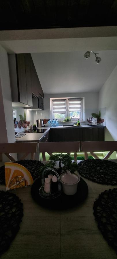 Apartament Elbrus Czyrna Szczyrk Wypozyczalnia Rowerow E-Bike Czyrna Szkola Narciarska & Wypozyczalnia Ski Serwis المظهر الخارجي الصورة